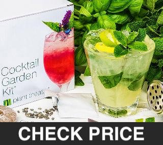 Cocktail Garden Kit - Cheap Christmas Gifts